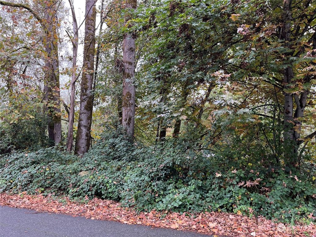 Photo of 207 XX 147th Avenue SE, Kent, WA 98042 (MLS # 2303716)