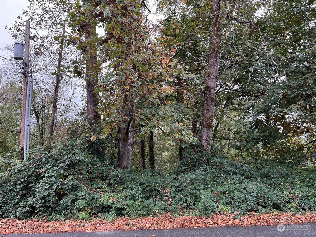 Photo of 207 XX 147th Avenue SE, Kent, WA 98042 (MLS # 2303716)