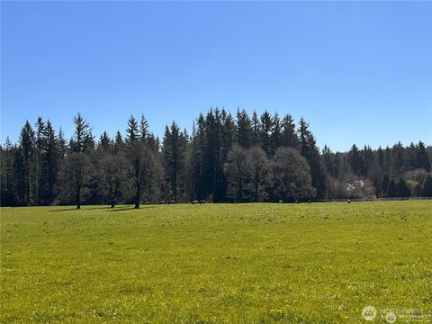 0 NE 212th Avenue Battle Ground WA 98604