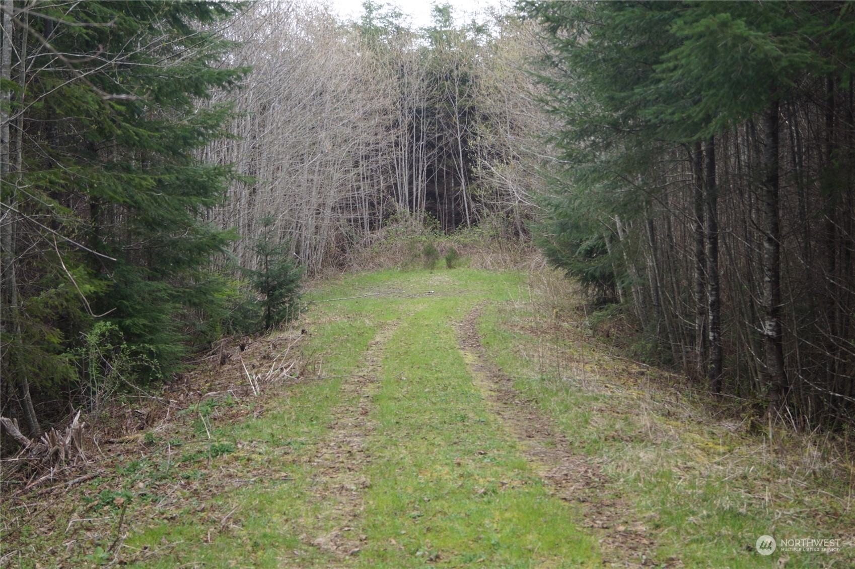 0 State Route 107