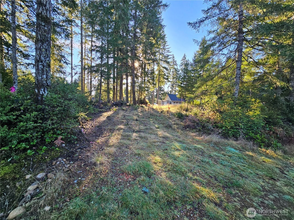 Photo of 1190 E Manzanita Drive, Union, WA 98592 (MLS # 2567474)