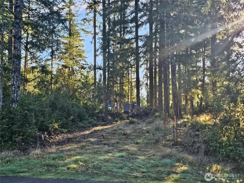 Photo of 1190 E Manzanita Drive, Union, WA 98592 (MLS # 2567474)