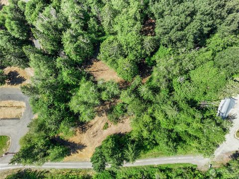 231 Oxbow Lake Lane Toledo WA 98591