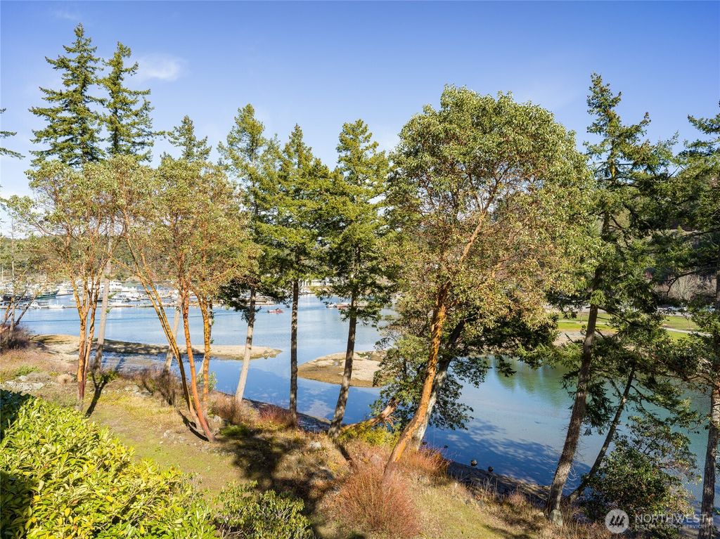 Photo of 98 Armadale Road #215, Friday Harbor, WA 98250 (MLS # 2500782)