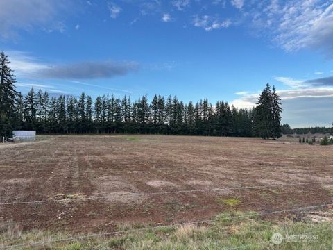 Photo of 0 Lot 2 Brown Road, Adna, WA 98532 (MLS # 2494407)