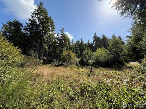 Photo of 3011 202nd Street, Ocean Park, WA 98640 (MLS # 2587451)