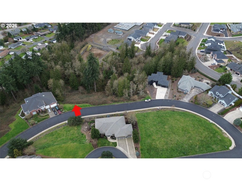 8 Forest Hill Estate