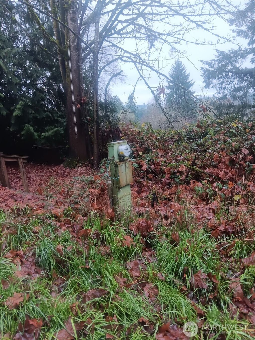 Photo of 365 SE Arcadia Road SE, Shelton, WA 98584 (MLS # 2461707)