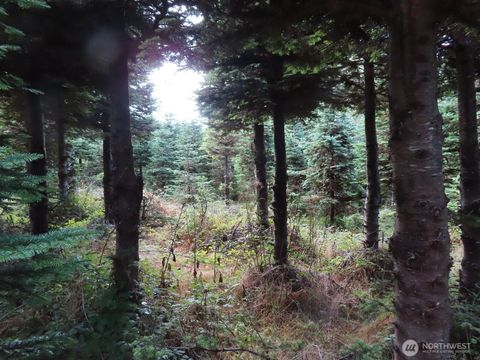 Photo of 0 Tract 2 State Route 101, South Bend, WA 98596 (MLS # 2333151)