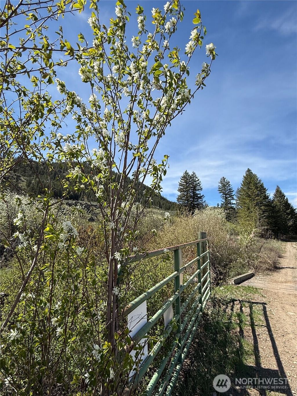 Photo of 2 x Alder Road, Twisp, WA 98856 (MLS # 2501873)