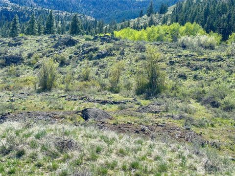 Photo of 2 x Alder Road, Twisp, WA 98856 (MLS # 2501873)