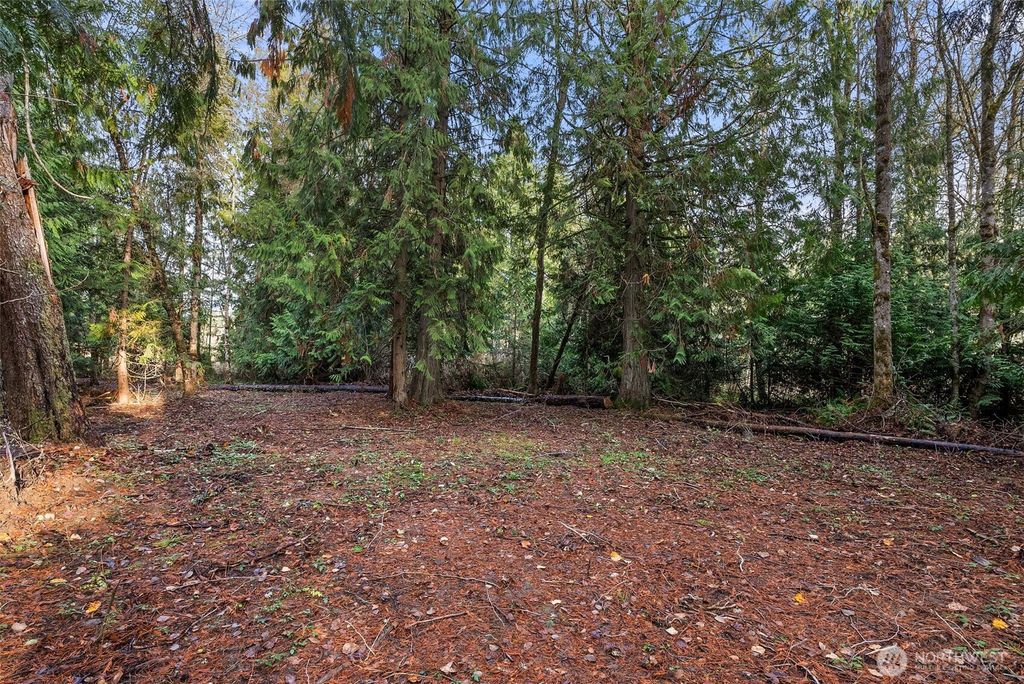 Photo of 15718 153rd Avenue SE, Yelm, WA 98597 (MLS # 2457295)