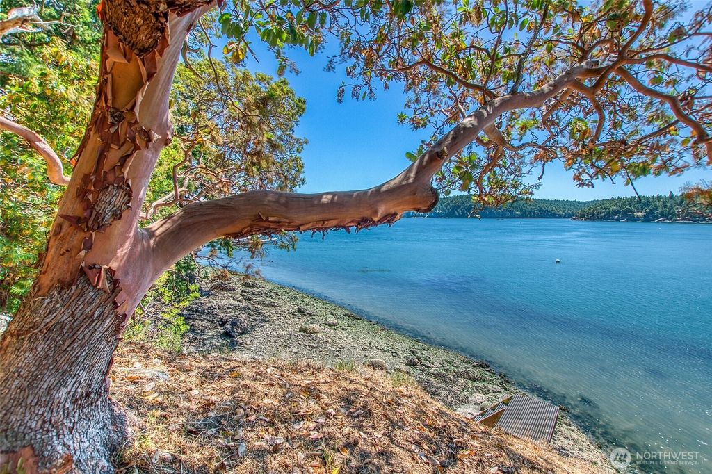 Photo of 6998 Deer Harbor Road, Orcas Island, WA 98245 (MLS # 2516059)