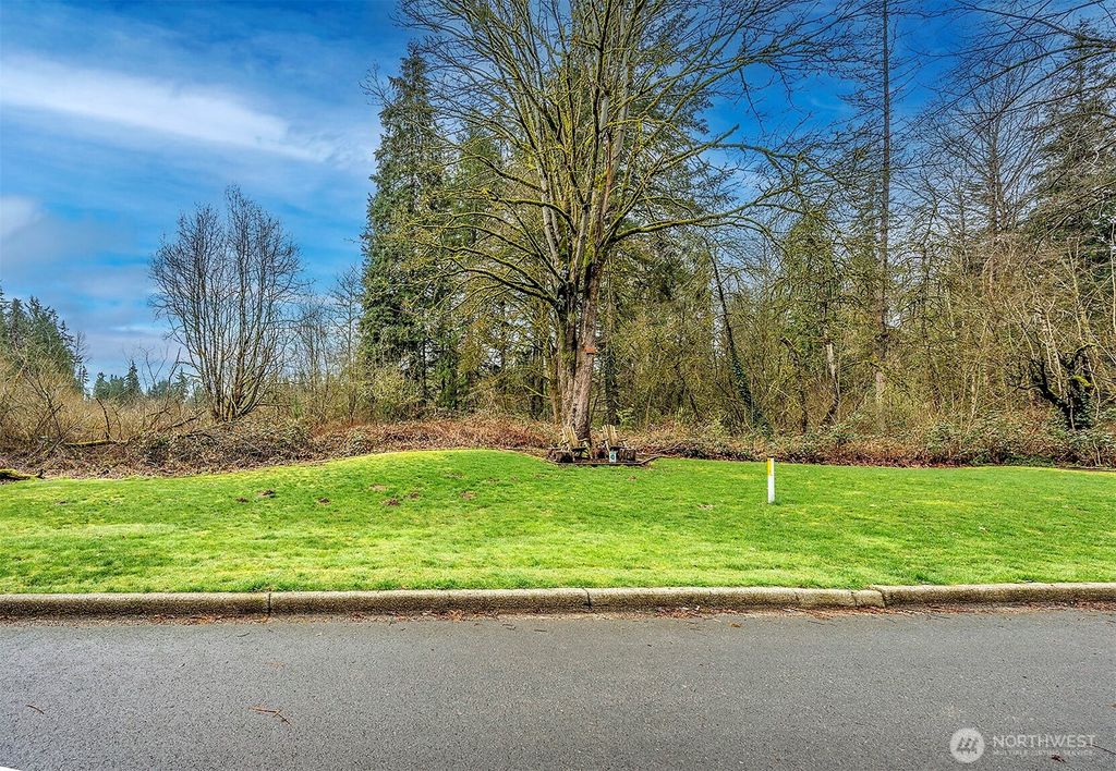 Photo of 135 XX NE 190th Place SE, Woodinville, WA 98072 (MLS # 2342664)
