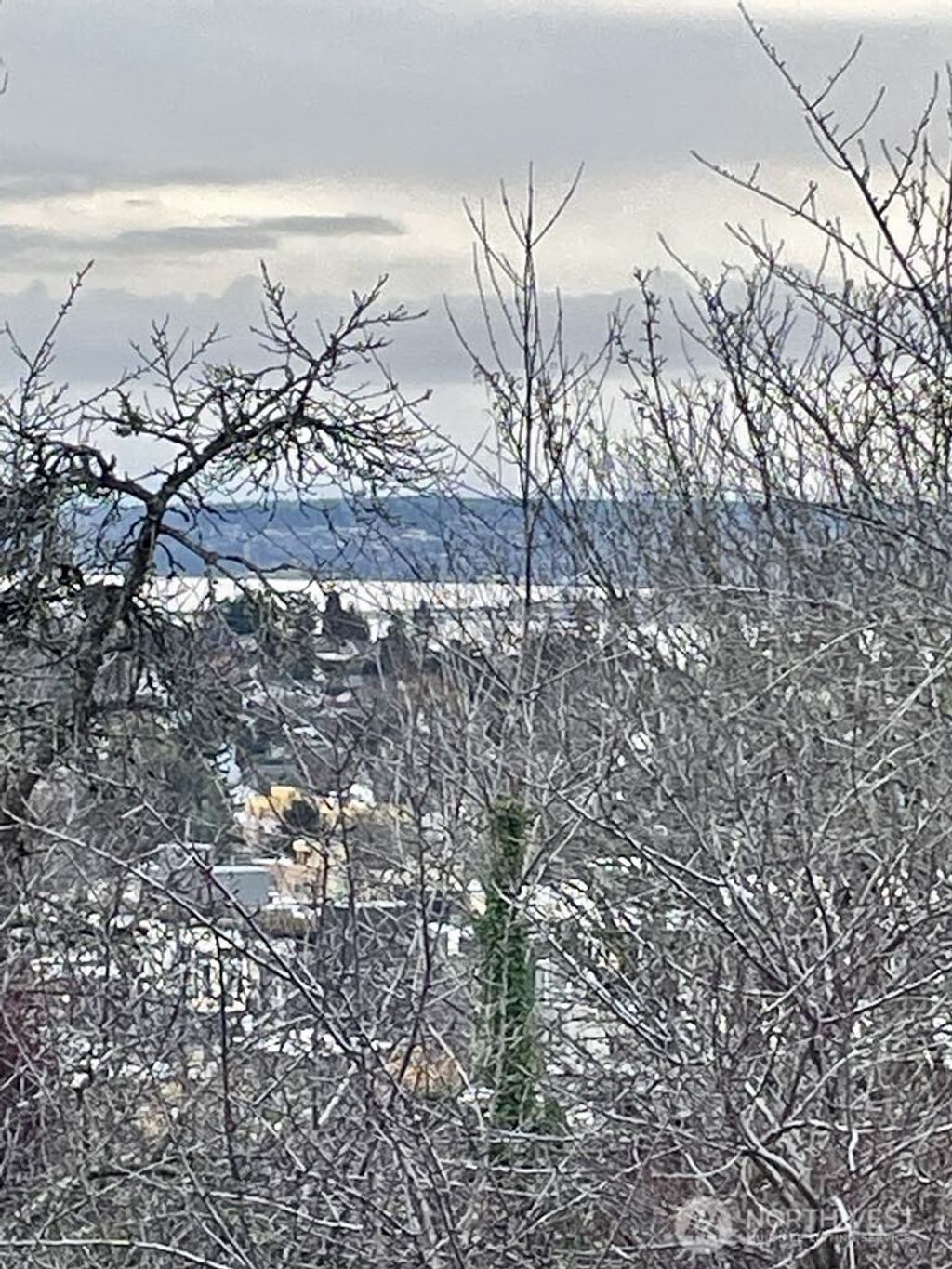 Photo of 4916 30th Avenue S, Seattle, WA 98108 (MLS # 2485818)