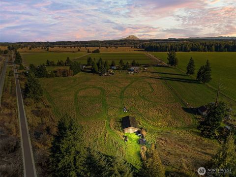 Photo of 15024 Mima Road SW, Olympia, WA 98512 (MLS # 2487848)