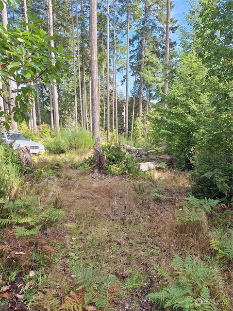 Photo of 1850 E Timberlake West Drive, Shelton, WA 98584 (MLS # 2299046)