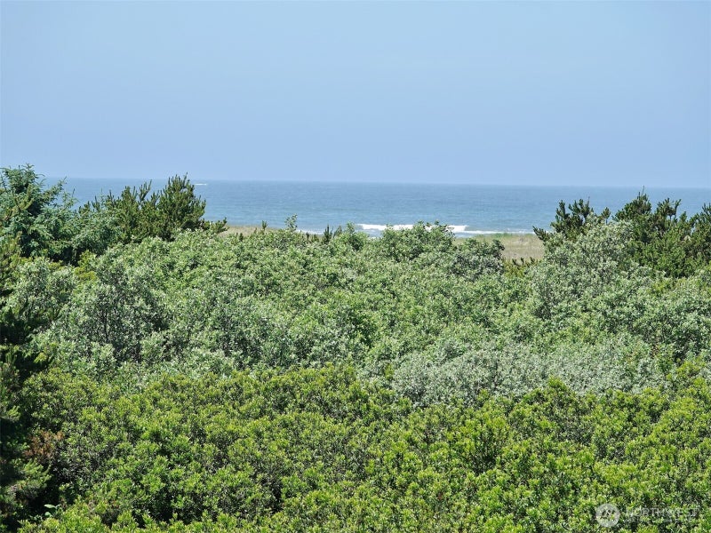 615 Ocean Shores Boulevard NW 318