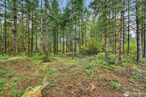 131 Kuty Drive Toledo WA 98951