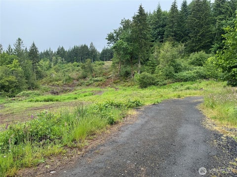 Photo of 8143 Todderjen Lane SW, Olympia, WA 98512 (MLS # 2538475)