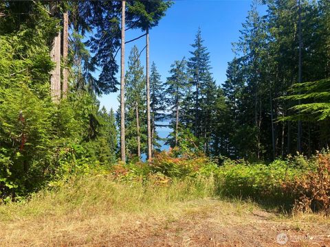 155 Tog Road Brinnon WA 98320