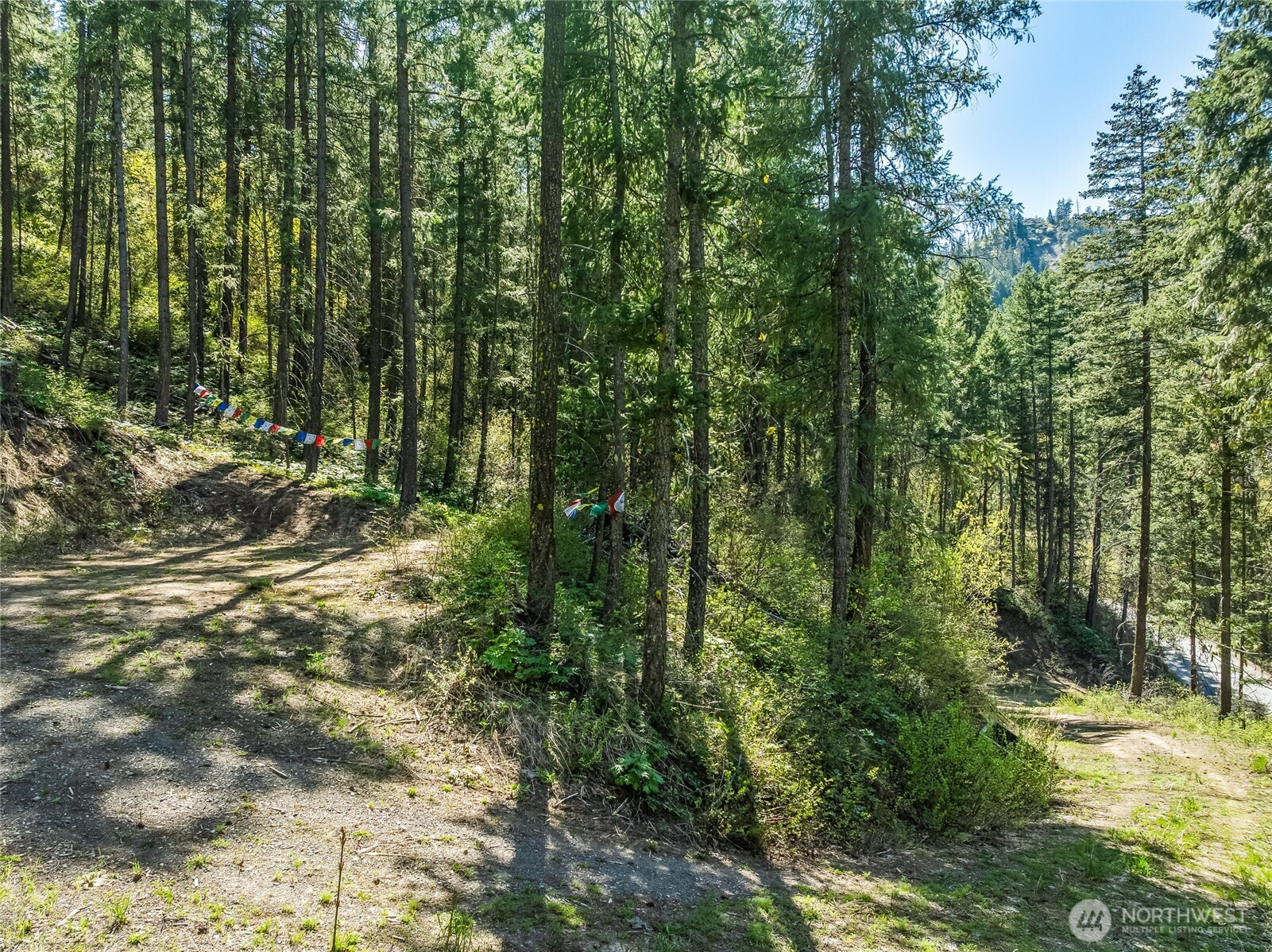 8325 Taber Rd.
