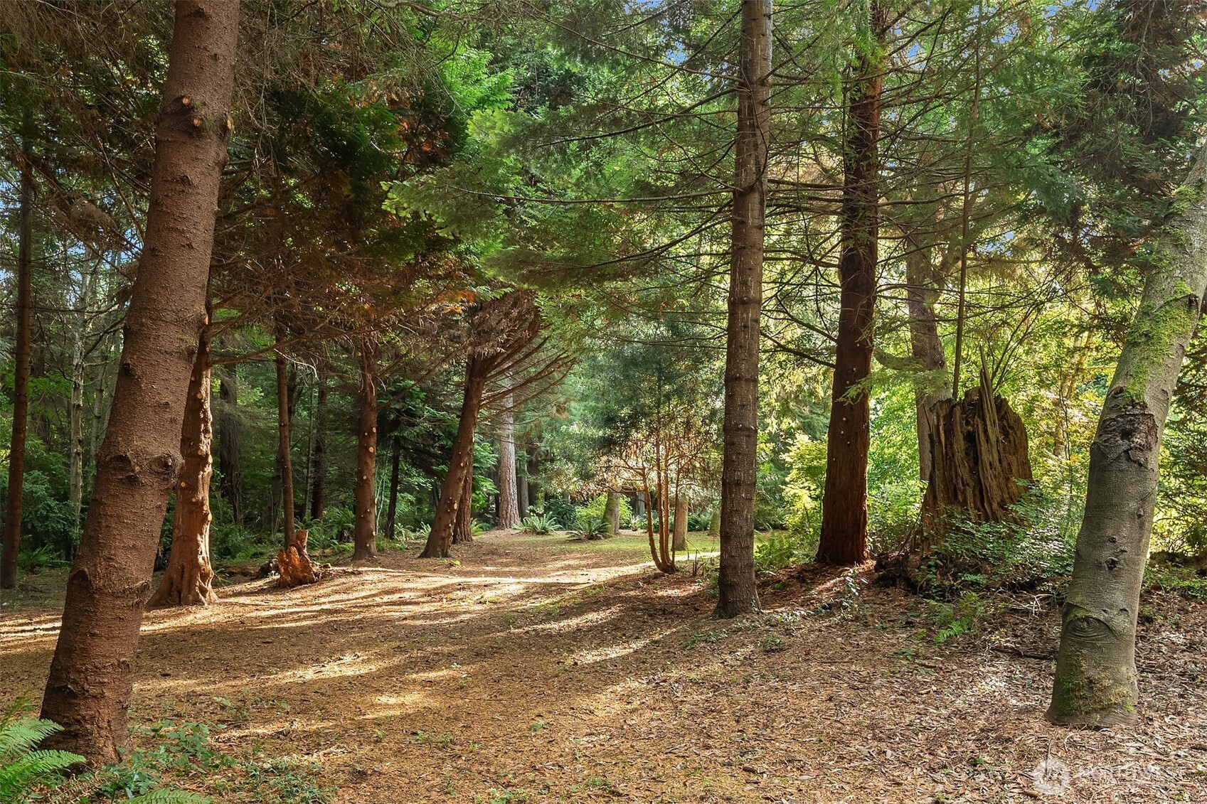 27407 94th Avenue SW