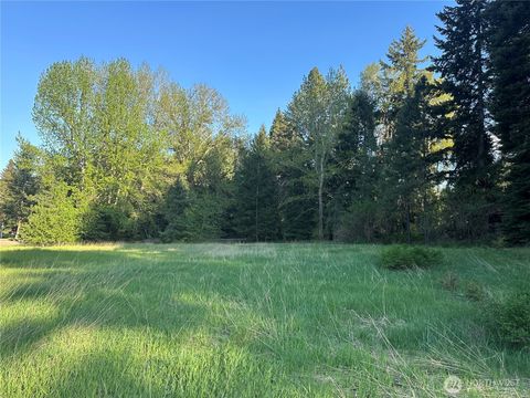 Photo of 0 Beaver Lane, Cle Elum, WA 98922 (MLS # 2531633)