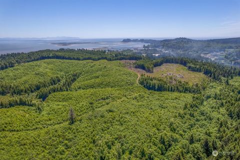 Photo of 1000 Williams Street, Ilwaco, WA 98624 (MLS # 2266374)