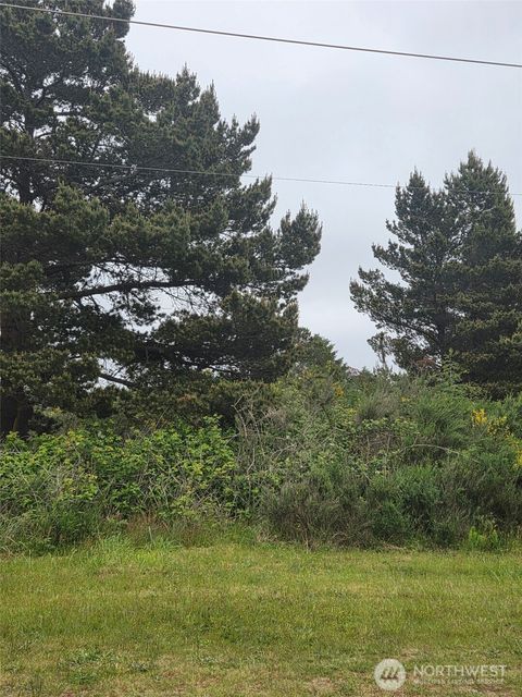Photo of 556 Point Brown Avenue NE, Ocean Shores, WA 98569 (MLS # 2528283)