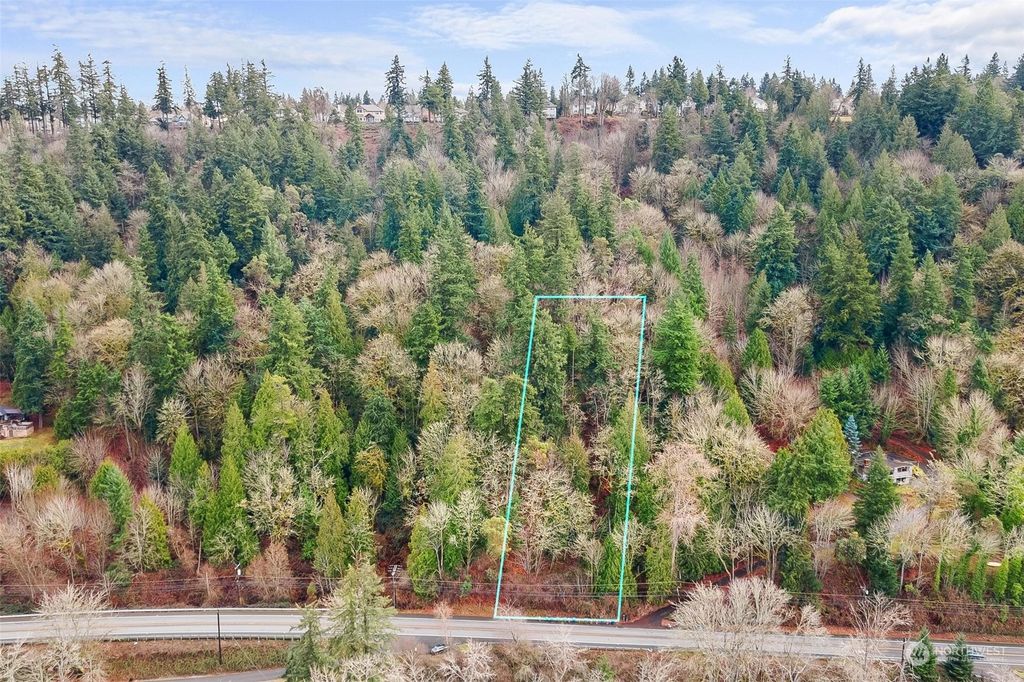 Photo of 22 XX East Lake Sammamish Parkway NE, Sammamish, WA 98074 (MLS # 2193497)