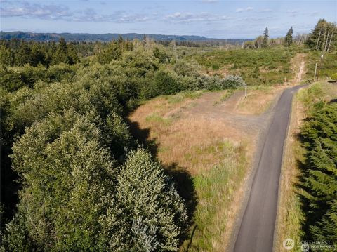 Photo of 5 Lomax Street, Aberdeen, WA 98520 (MLS # 2492538)
