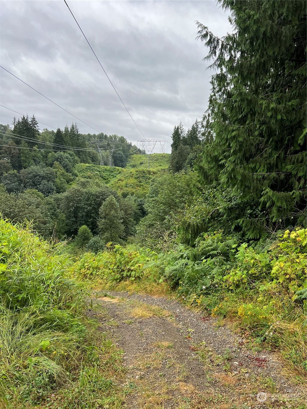 Photo of 0 308th Avenue NE, Duvall, WA 98019 (MLS # 2273543)