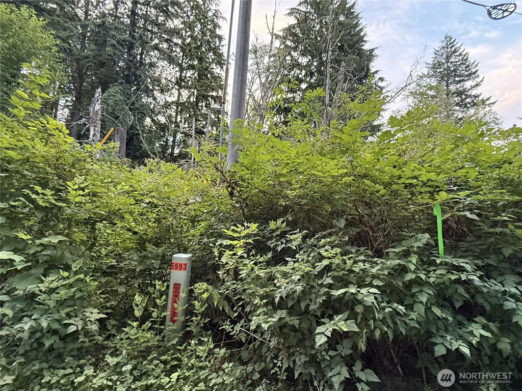 Photo of 1 Bumgarner Road, Arlington, WA 98223 (MLS # 2556591)