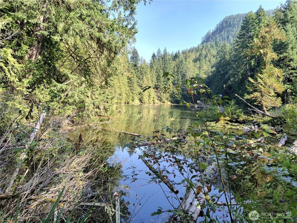 Photo of 300000 BLK Daggart Lake Road, Monroe, WA 98272 (MLS # 2435917)