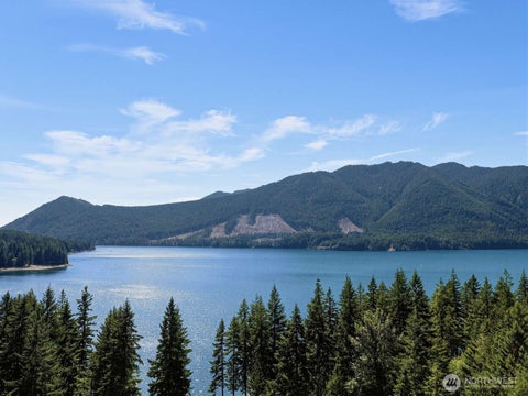 Photo of 150 N Potlatch Drive N, Hoodsport, WA 98548 (MLS # 2578676)