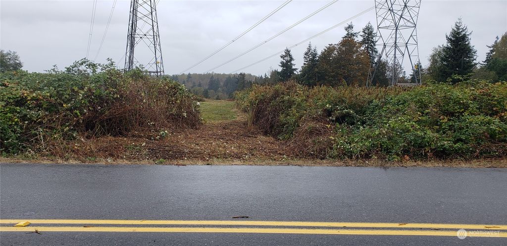 Photo of 302 XX SE 188th Avenue SE, Kent, WA 98042 (MLS # 2007136)