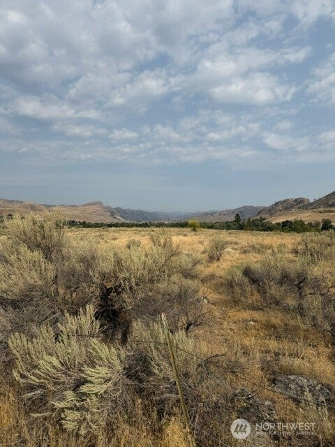Photo of 0 Lot 4 Crofoot Lane, Riverside, WA 98849 (MLS # 2577273)