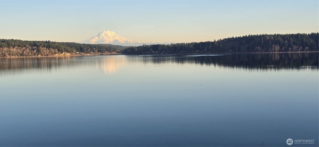 Photo of 16418 94th Street SW, Longbranch, WA 98351 (MLS # 2529277)