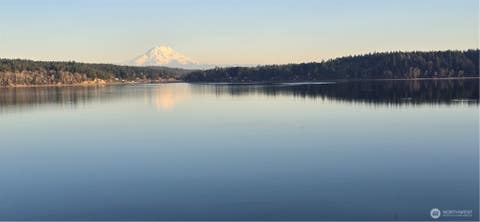 Photo of 16418 94th Street SW, Longbranch, WA 98351 (MLS # 2529277)