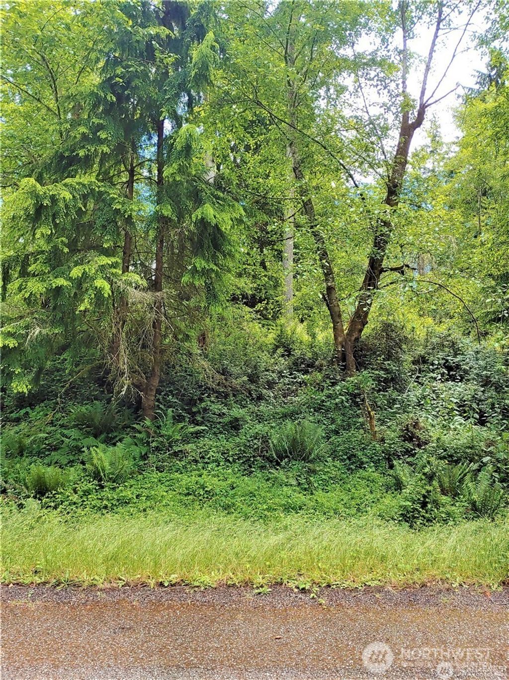 Photo of 11909 11911 Country Club Drive, Anderson Island, WA 98303 (MLS # 2495510)