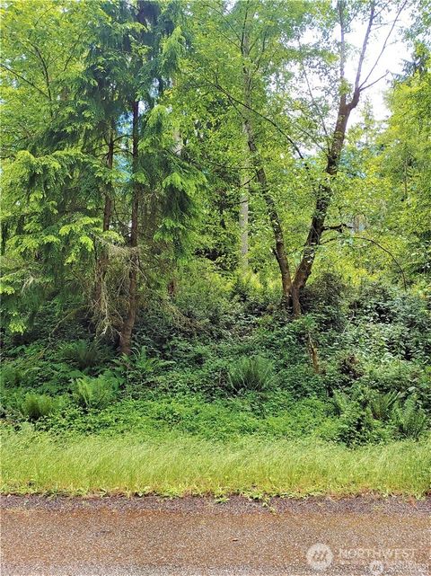 Photo of 11909 11911 Country Club Drive, Anderson Island, WA 98303 (MLS # 2495510)