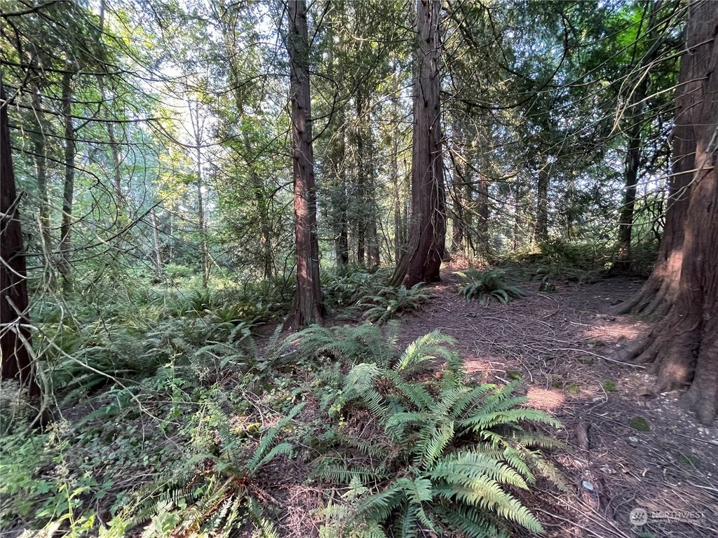 Photo of 0 172nd Avenue SE, Kent, WA 98042 (MLS # 2074077)