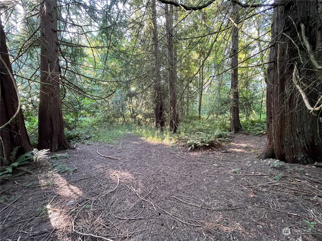 Photo of 0 172nd Avenue SE, Kent, WA 98042 (MLS # 2074077)