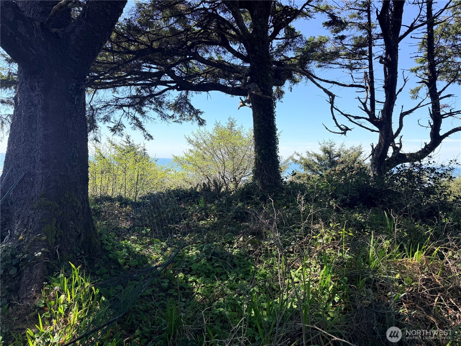 46871 State Route 109