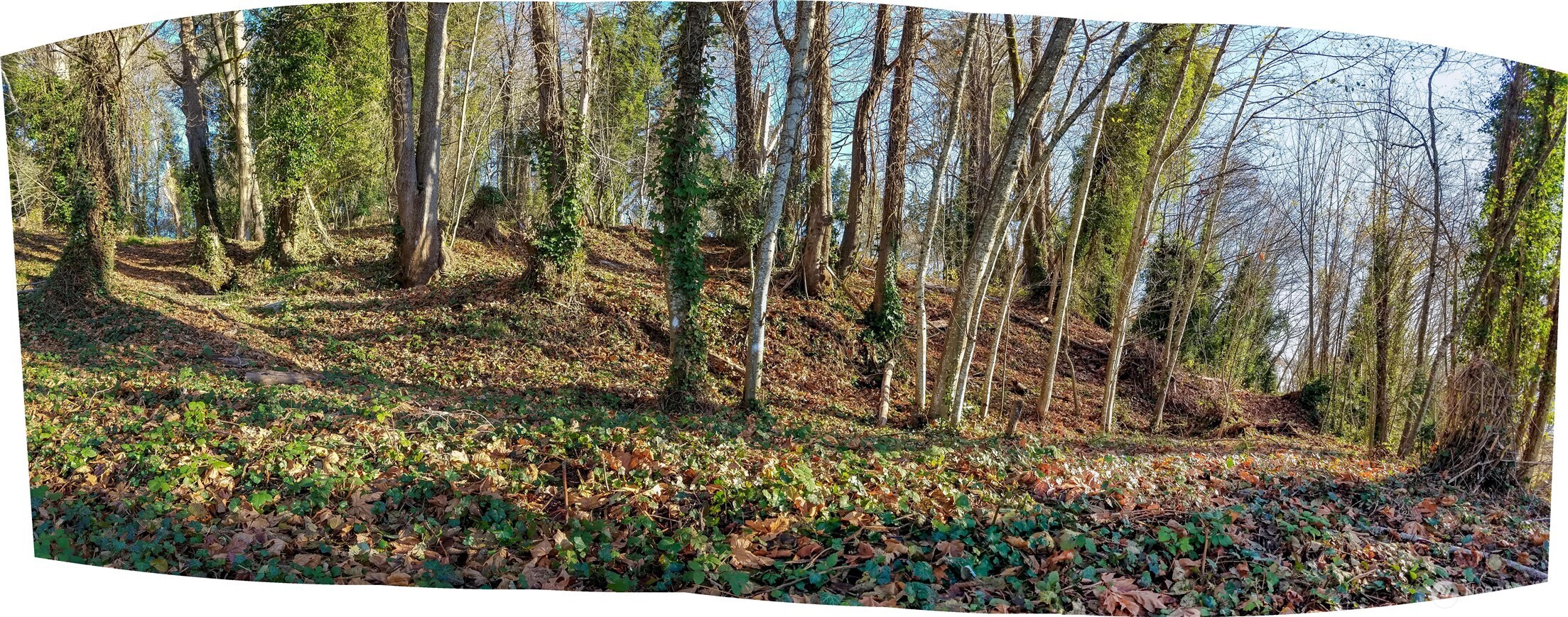 1030 East Bay Drive NE