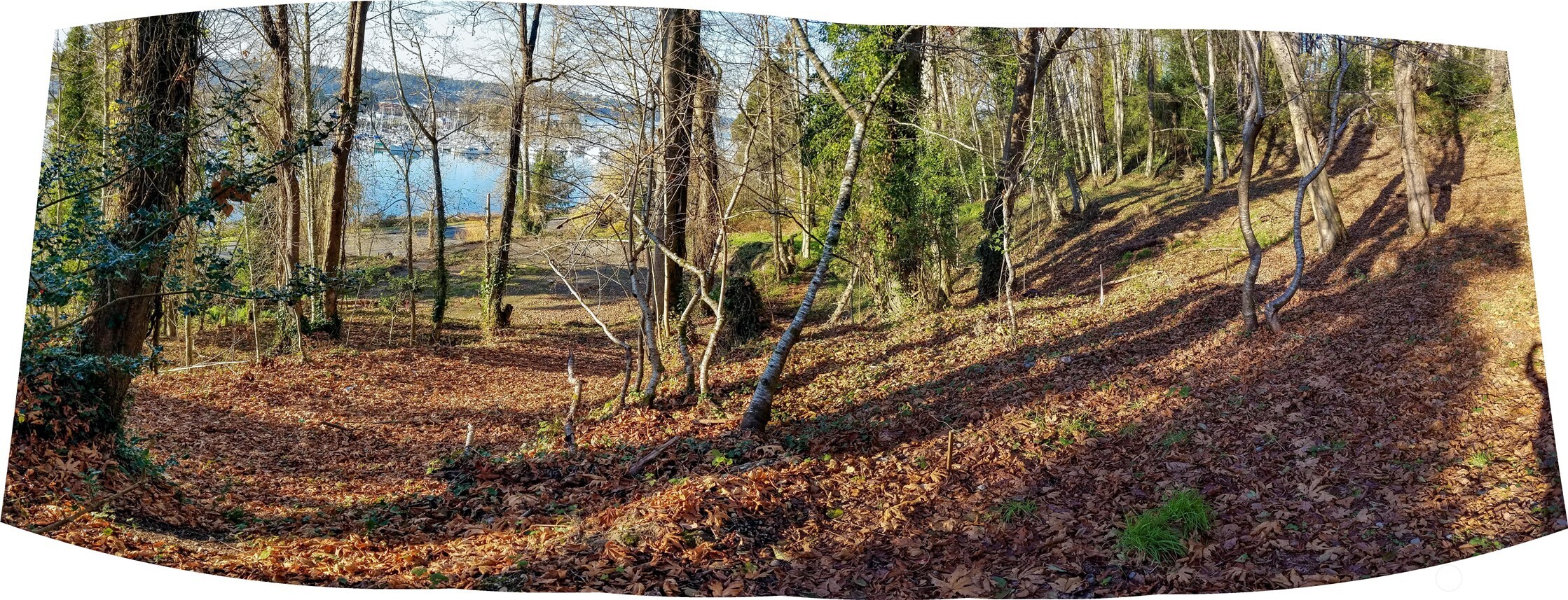 1030 East Bay Drive NE