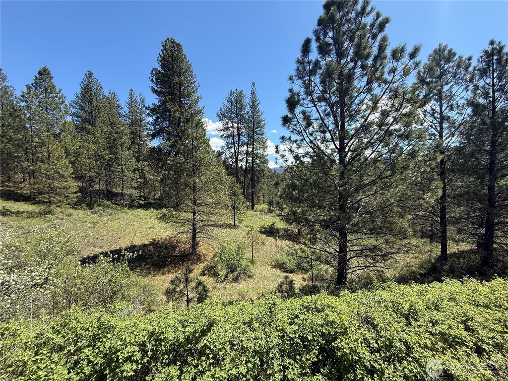 Photo of 0 TBD Fir Lane, Curlew, WA 99118 (MLS # 2517778)