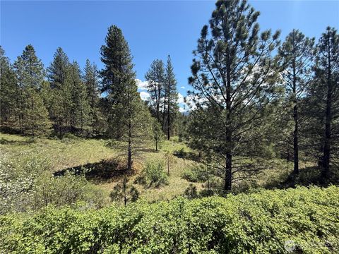 Photo of 0 TBD Fir Lane, Curlew, WA 99118 (MLS # 2517778)