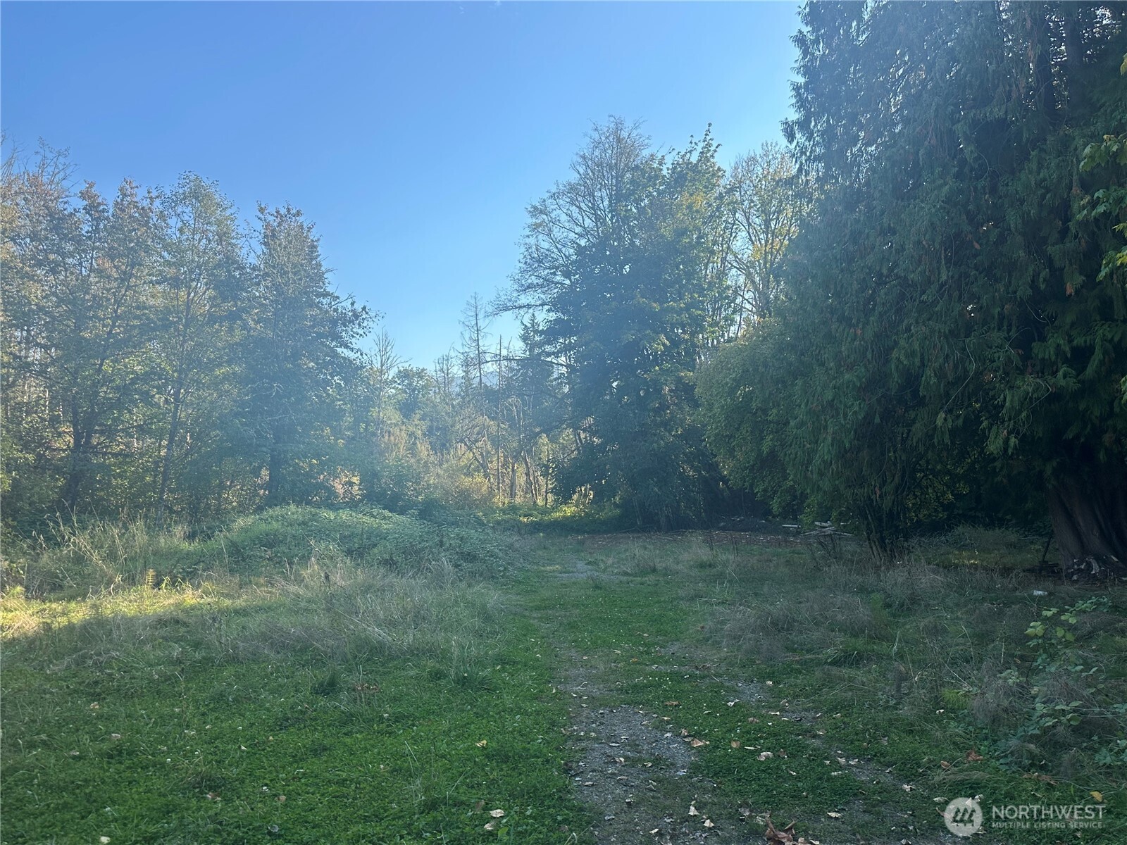 45450 State Route 20
